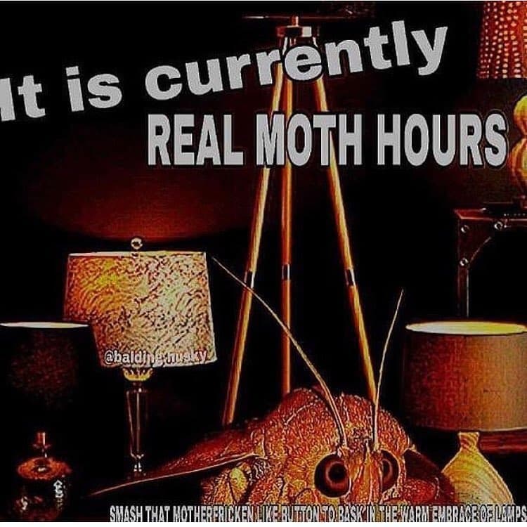 Currently it is real ioth hours baldy shashhthaioihfaxr iwbhaarofmens