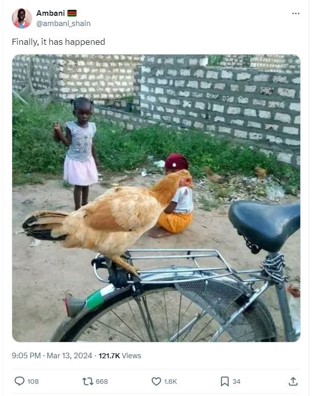 Ambani ambani_shain finally it has happened 9.05 pm mar 13, 121.7k views 108 t2