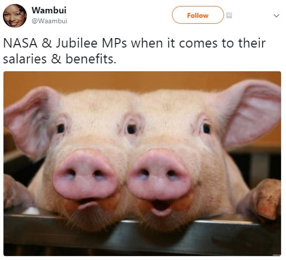 Wambui waambui follow nasa jubilee mps when it comes to their salaries benefits.