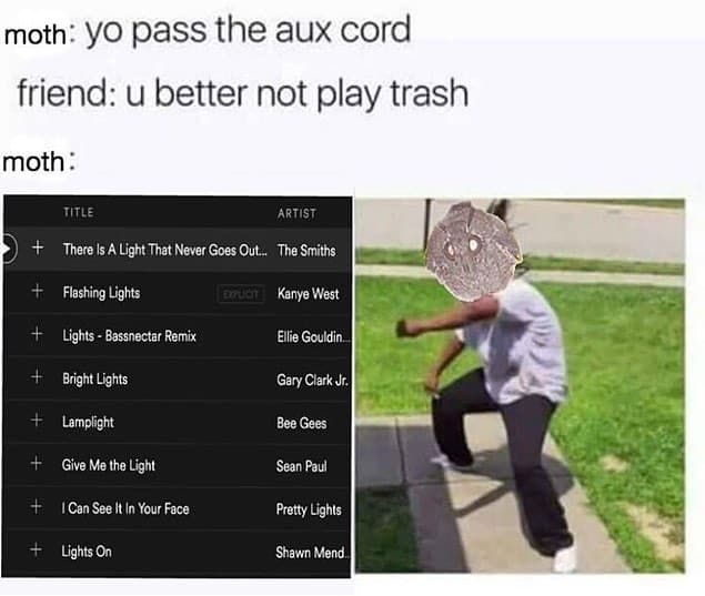 Moth yo pass the aux cord friend u better not play trash moth title artist there