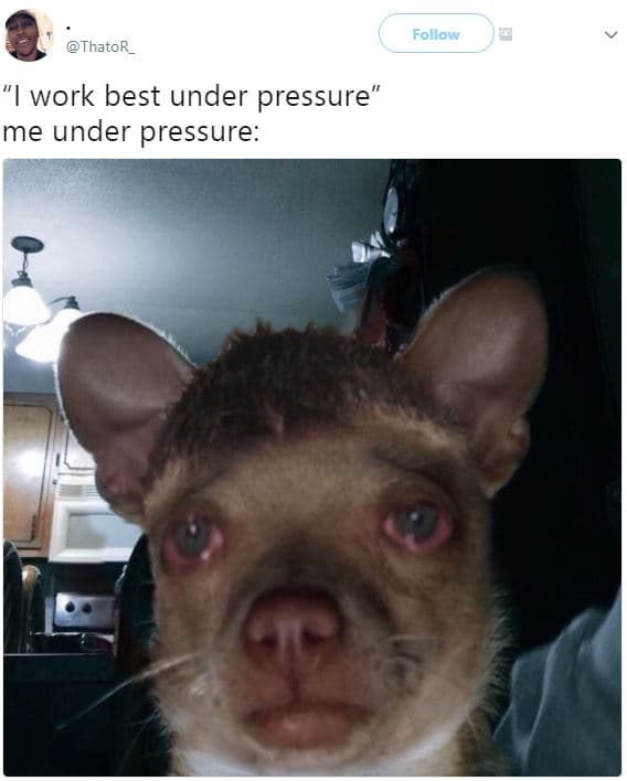 Follow thator work best under pressure me under pressure