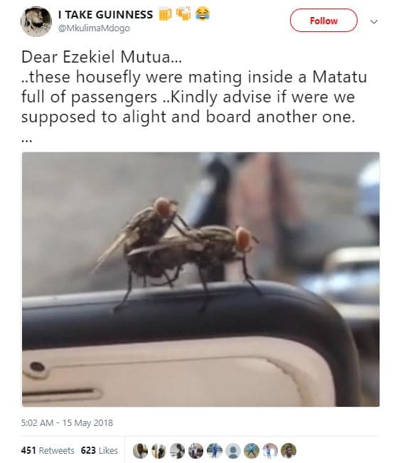 Take guinness mkulimamdogo follow dear ezekiel mutua these housefly were mating