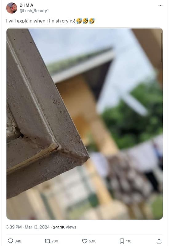 Dima lush_beautyi will explain when finish crying 999 3.39 pm mar 13, 241.1k vie