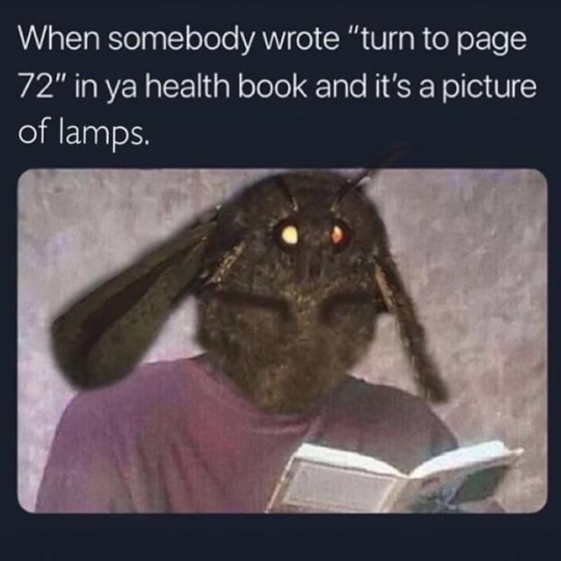 When somebody wrote turn to page 72 in ya health book and it's a picture of lamp
