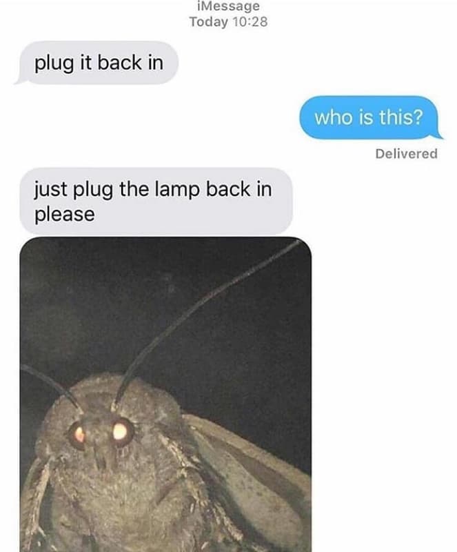Imessage today 1028 plug it back in who is this? delivered just plug the lamp ba