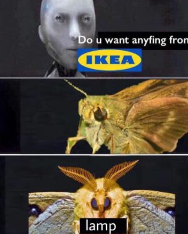 Do u want anyfing fron ikea lamp