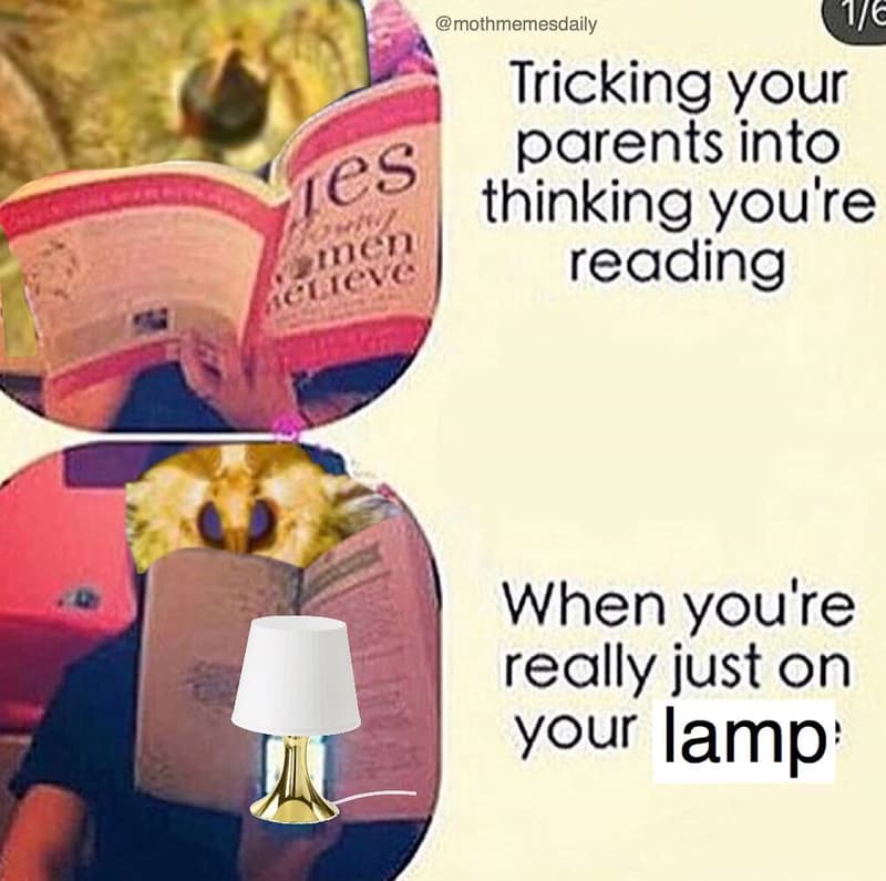 Mothmemesdaily 16 tricking your parents into ies thinking you're mnen fuc readin