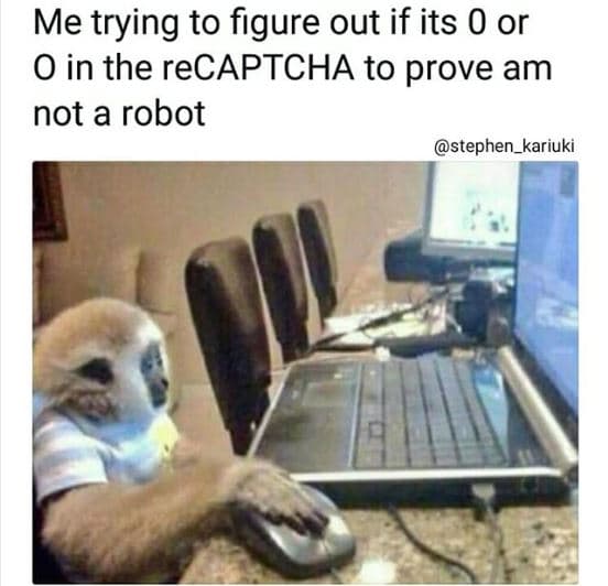 Me trying to figure out if its 0 or 0 in the recaptcha to prove am not a robot s