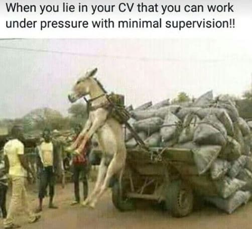 When you lie in your cv that you can work under pressure with minimal supervisio
