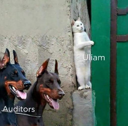 Uliam auditors