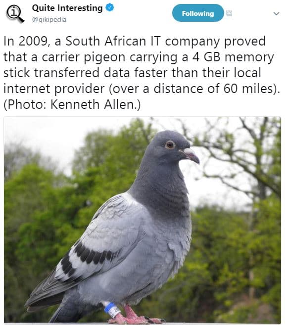 Quite interesting qikipedia following in , a south african it company proved tha