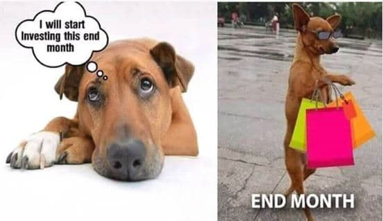 Wlll start investlng thls end mont end month