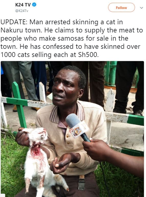 K24 tv k24tv follow update man arrested skinning a cat in nakuru town. he claims