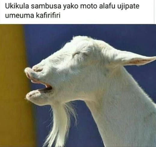 Ukikula sambusa yako moto alafu ujipate umeuma kafirifiri