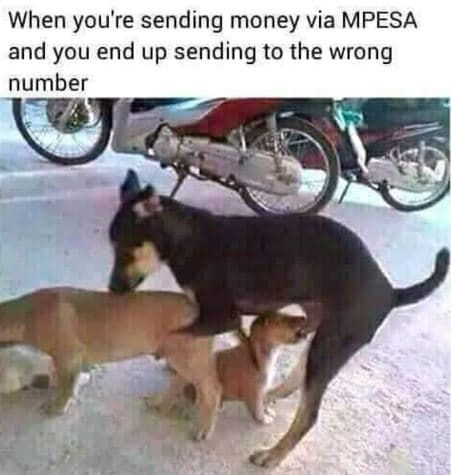 When you're sending money via mpesa and you end up sending to the wrong number