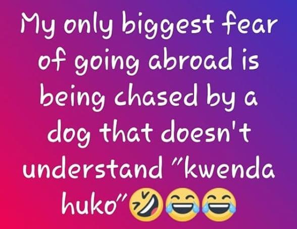 My only biggest fear 0f going abroad is being chased by g dog that doesn' unders