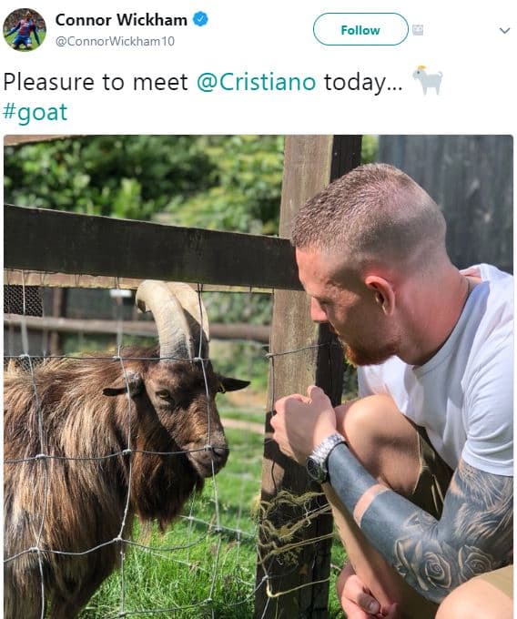 Connor wickham connorwickham 10 follow pleasure to meet cristiano today. goat