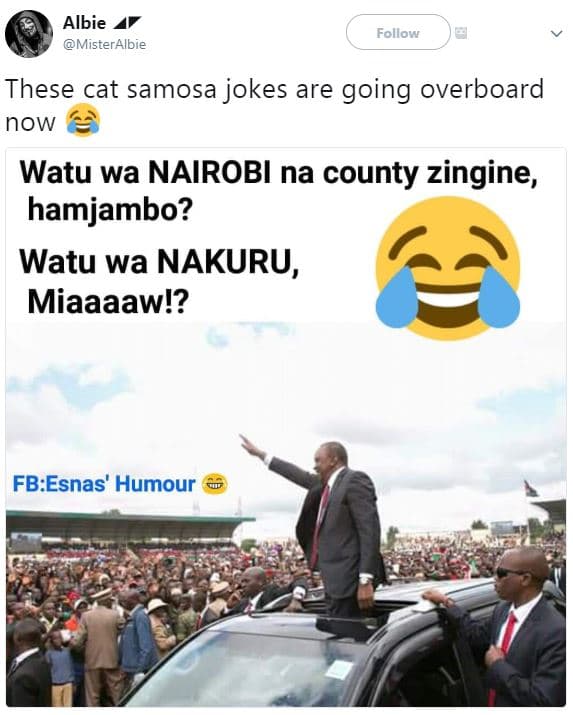 Albie misteralbie follow these cat samosa jokes are going overboard now watu wa