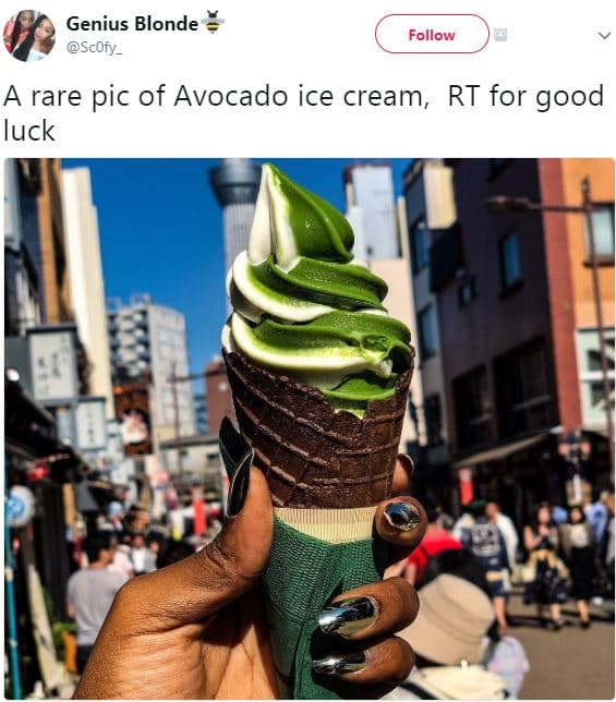 Genius blonde scofy _ follow a rare pic of avocado ice cream rt for good luck
