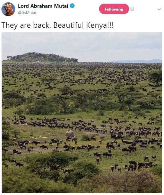 Lord abraham mutai itsmutai following they are back. beautiful kenya!!!