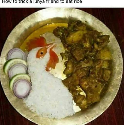 How to trıck a iunya trıena to eat rıce