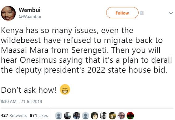 Wambui waambui follow kenya has so many issues, even the wildebeest have refused