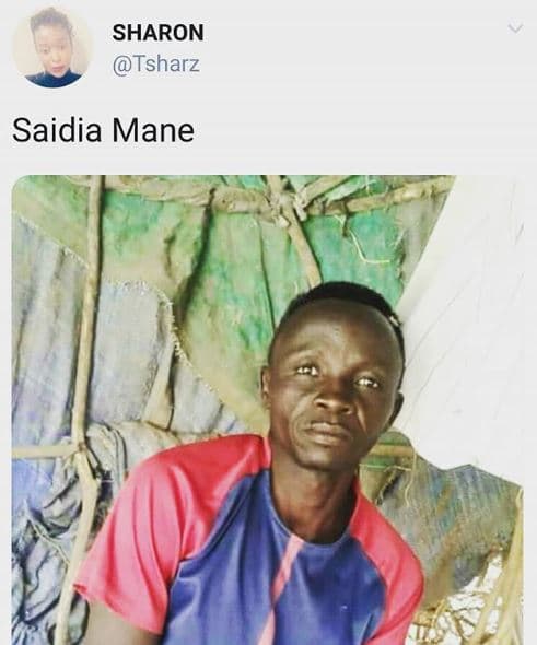 Sharon tsharz saidia mane