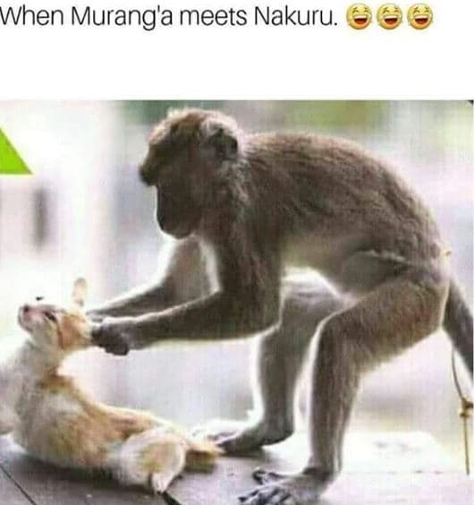 When murang'a meets nakuru.