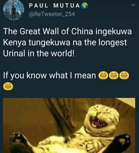 Paul mutua retweeter_254 the great wall of china ingekuwa kenya tungekuwa na the