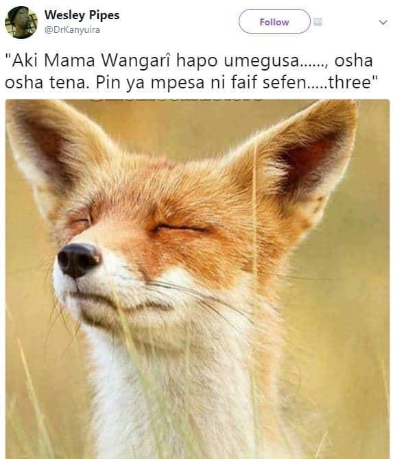 Wesley pipes drkanyuira follow aki mama wangari hapo umegusa. osha osha tena. pi