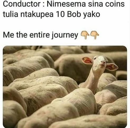 Conductor nimesema sina coins tulia ntakupea 10 bob yako me the entire journey