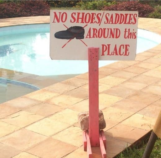 No shoes saddiis around this place