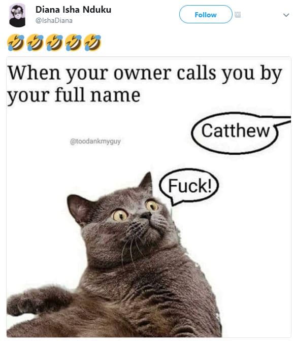 Diana isha nduku ishadiana follow 8u8uj when your owner calls you by your full n