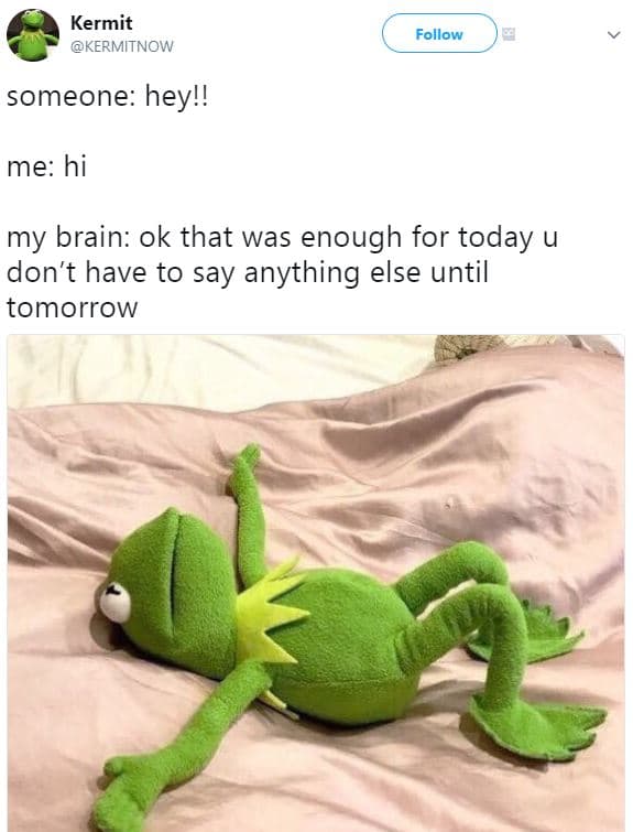 Kermit kermitnow follow someone hey!! me hi my brain ok that was enough for toda