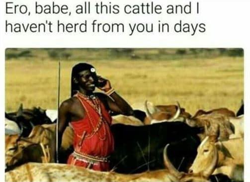 Ero, babe all this cattle and haven't herd from you in days