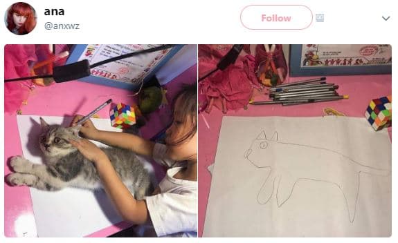 Ana anxwz follow