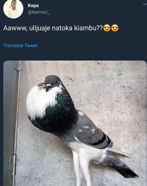 Kepa kennaz _ aawww ulijuaje natoka kiambu?? translate tweet