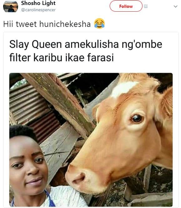 Shosho light carolinespencer follow hii tweet hunichekesha slay queen amekulisha