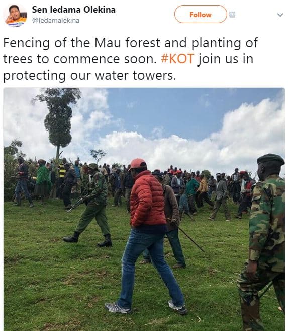 Sen ledama olekina ledamalekina follow fencing of the mau forest and planting of