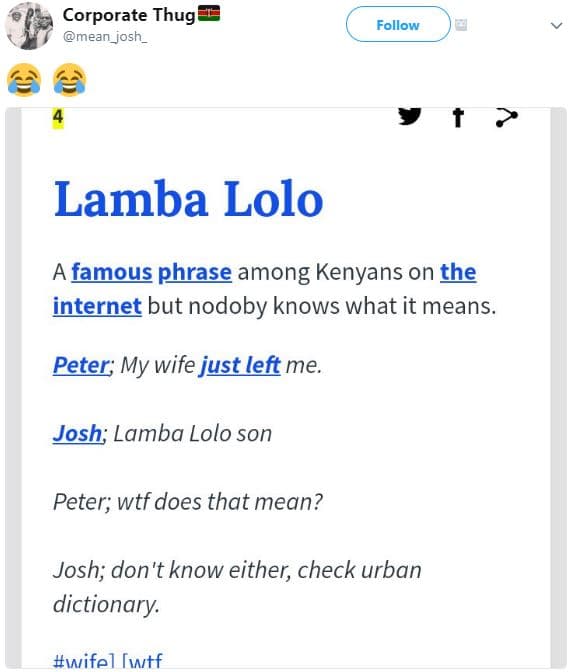 Corporate thug mean_josh_ follow lamba lolo famous phrase among kenyans on the i
