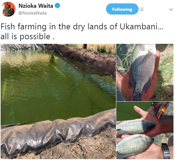 Nzioka waita nziokawaita following fish farming in the dry lands of ukambani. al