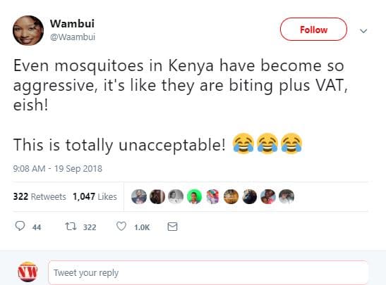 Wambui waambui follow even mosquitoes in kenya have become so aggressive it's li