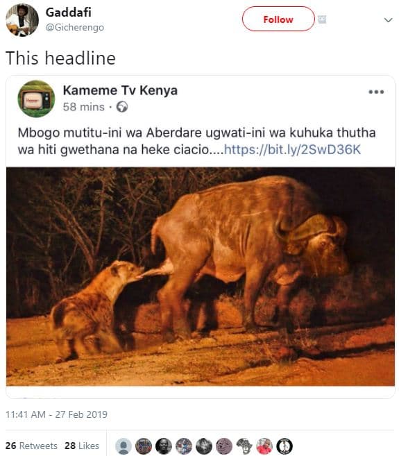 Gaddafi gicherengo follow this headline kameme tv kenya 58 mins mbogo mutituini