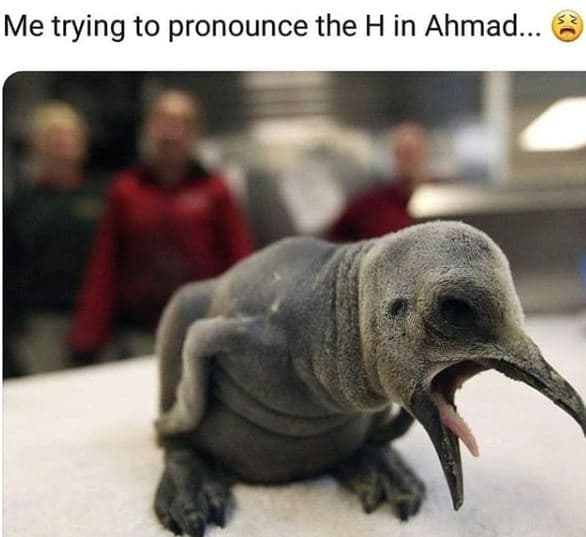 Me trying to pronounce the h in ahmad.