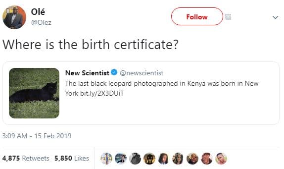 Olé olez follow where is the birth certificate? new scientist newscientist the l