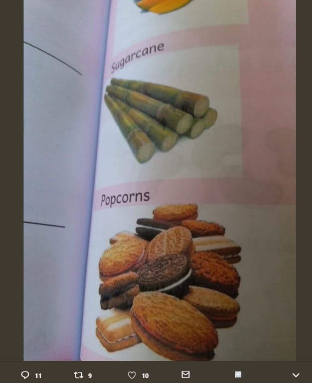 Popcorns 9 1 9 0 1 sugarcane