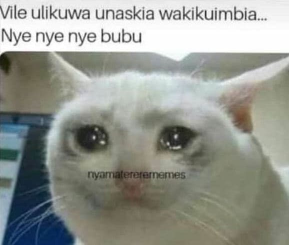 Vile ulikuwa unaskia wakikuimbia. nye nye nye bubu nynmatererernemes