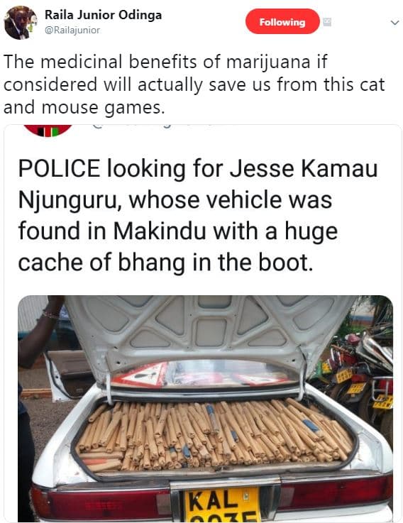 Raila junior odinga railajunior following the medicinal benefits of marijuana if