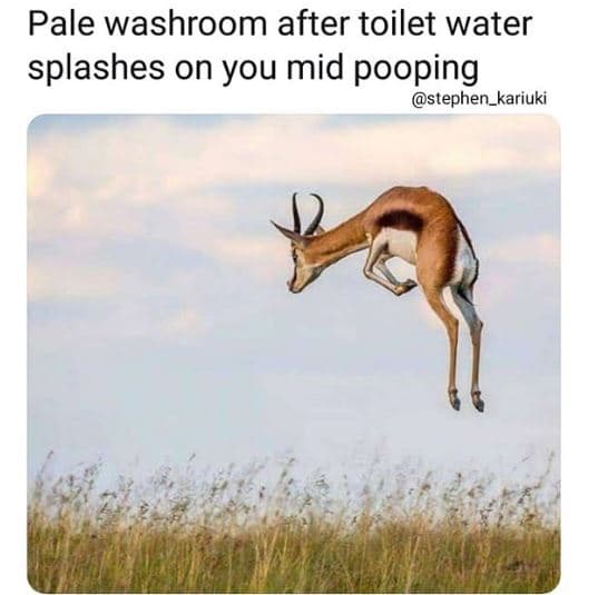 Pale washroom after toilet water splashes on you mid pooping stephen_kariuki