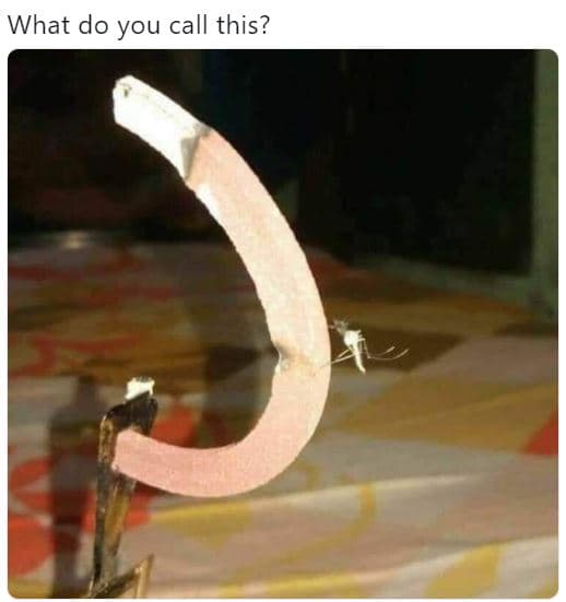 What do you call this?